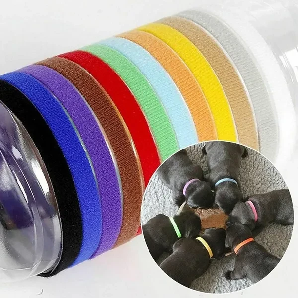 12/24pcs Dog Collars Nylon Pet Dog Tag Puppy Kitten Identification Collar Whelping ID Collar Bands for Dogs Cats Pet Supplies