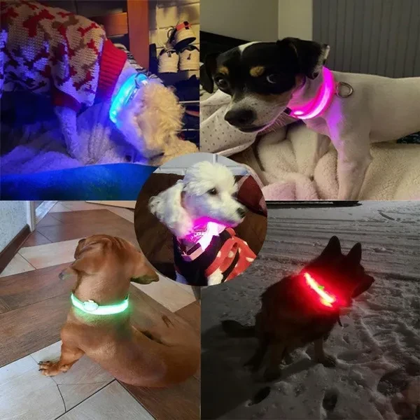 Adjustable LED Dog Collar Glowing Anti-lost Night Safety Pet Luminous Collar Flashing Necklace for Small Medium Large Dogs Cat